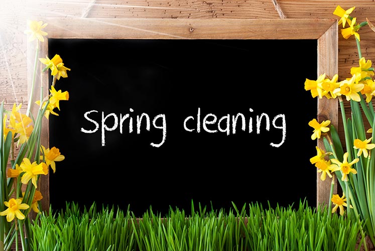 Read more about the article Spring Cleaning Tips from Garage Décor and More